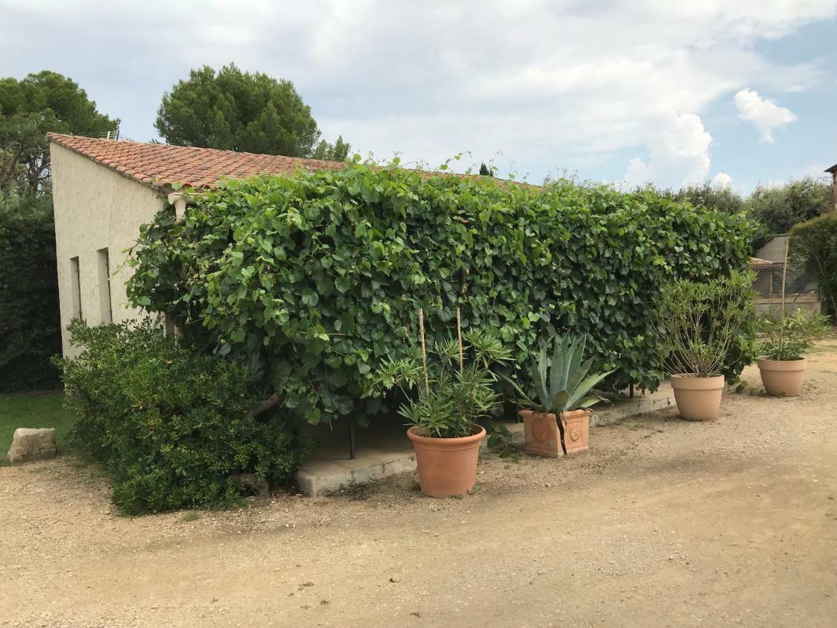 Les Buis Apartment Carpentras Exterior photo